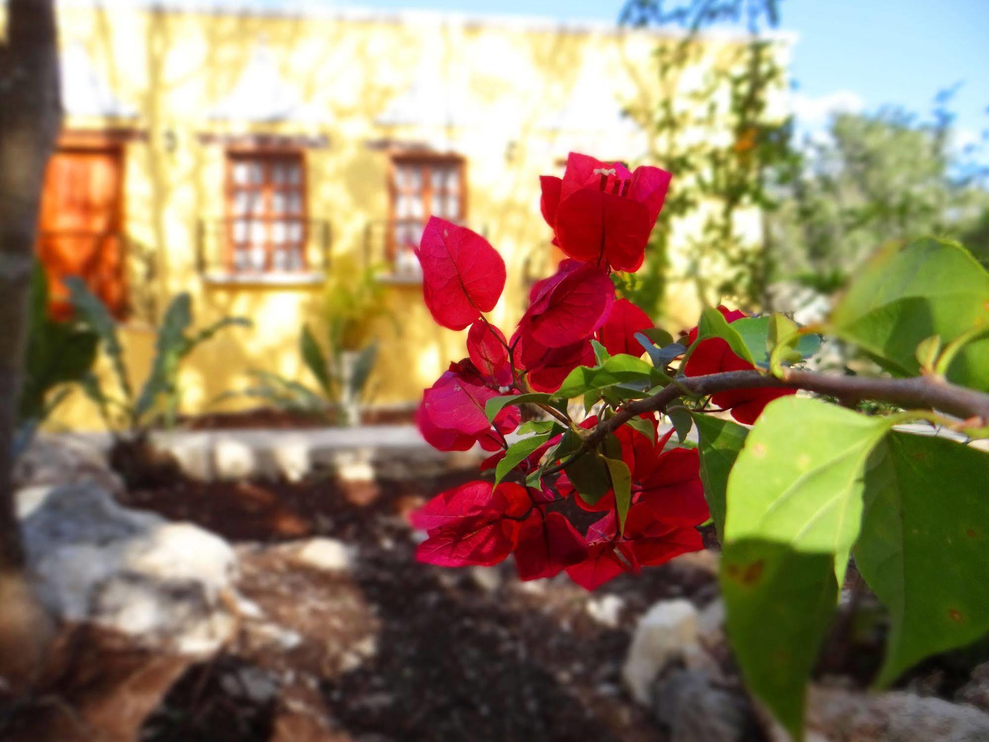 Hacienda Coba Bed and Breakfast Exteriör bild